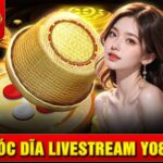 Xóc đĩa Livestream Yo88